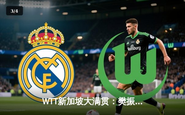 WTT新加坡大满贯：樊振东鏖战七局险胜张本智和 国乒包揽男单四强席位 - 3